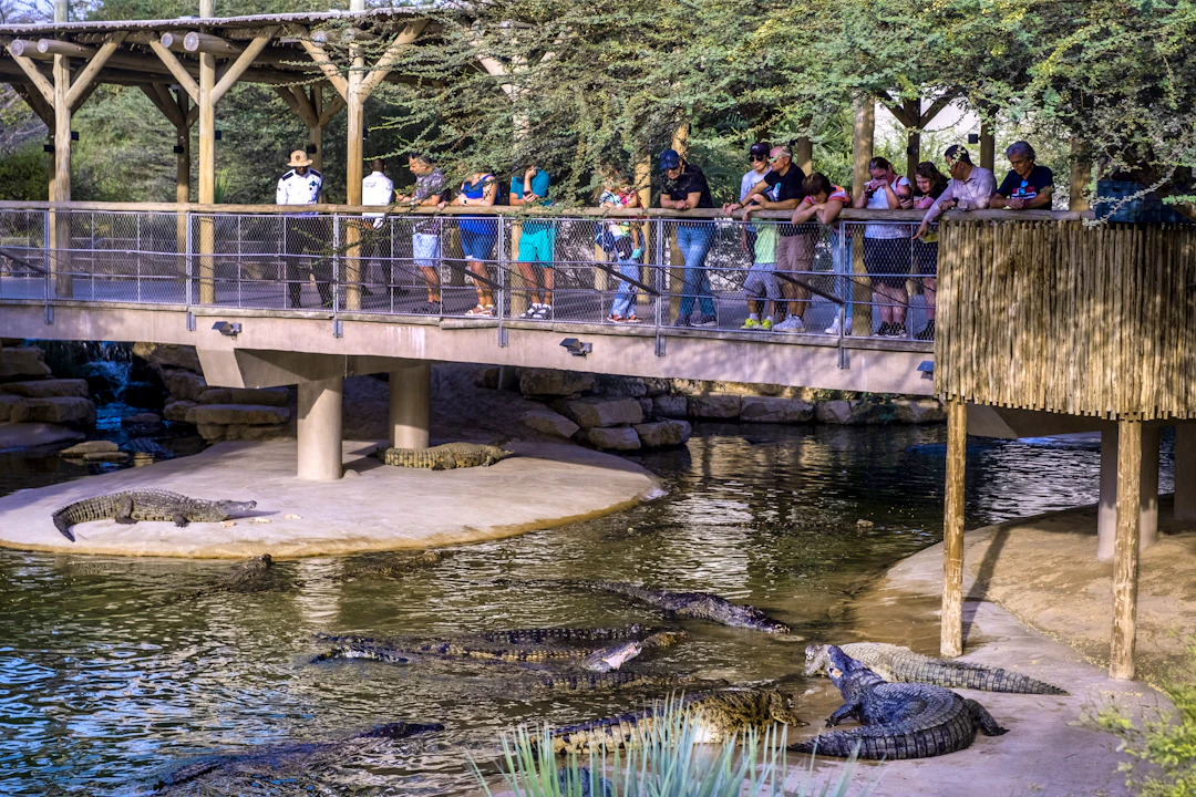 Crocodile Park Dubai Ticket